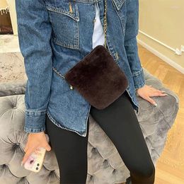 Waist Bags 2023 Women's Mini Diagonal Straddle Bag Lamb Hair Shoulder Winter Fashion Casual Phone Birthday Gift