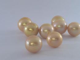 Dangle Earrings HUGE NICE 13-14mm Round Natural South Sea Golden Pearl Earring 14K Yellow Gold