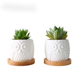 2 Set Ceramic Succulent Flowerpot White Owl Flowerpots with Bamboo Tray Holder Cute Cactus Flower Pots Bonsai Planters Desktop Y200723