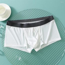 Underpants Sexy Mens Trunks Ice Silk Breathable Boxers Comfy Soft Seamless Underwear Bulge Pouch Boxer Briefs Wet Seductive Shorts Panties
