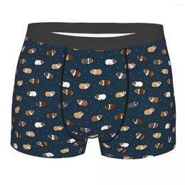 Underpants Guinea Pig Cavia Porcellus Animal Mencosy Boxer Briefs Highly Breathable High Quality Birthday Gifts