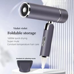 Hair Dryers Professional Dryer 1600w Highpower Fast Drying Negative Ion Foldable Portable Household Salon Ttype 231208