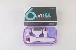 Roller 6 in 1 Microneedle Roller Kit DRS Dermaroller ice roller/300/720/1200 Needles Derma roller Kit with retail packing.