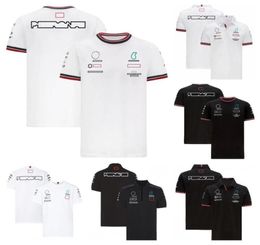 New Polo Shirts 1 Racing Tshirts Team Lapel Short Sleeved Car Fans Oversized Tshirt Summer Breathable Motocross Jerse5193571