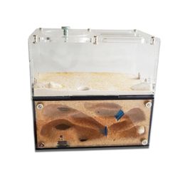 Acrylic Ant Farm Spliceable Ant Nest with Intelligent Temperature Control Concrete Ant House Anthill Pet Workshop 15*10*13.5cm 231228