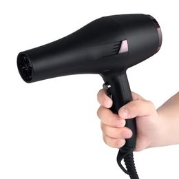 Dryers Highpower 2200w hair dryer salon professional hair dryer French style recommended hair drying quickly Temperature adjust SU167