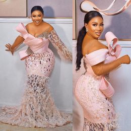 Luxurious Feather Evening Dresses Elegant Light Pink Long Sleeves Prom Formal Dress for Special Occasions Second Reception Gowns Birthday Party Gown NL182