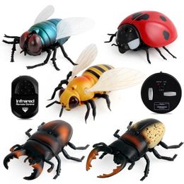 Novelty Electric Simulation Fly Ladybug Honeybee Crab Remote Control Move Prank Joke Scary Trick Bugs RC Animal Halloween Kids T 231229