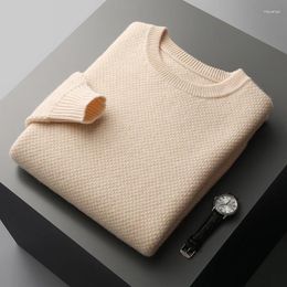 Men's Sweaters Winter Merino Wool Cashmere Sweater O-Neck Pineapple Thick Pullovers Casual Plus Size Tops Warm Knit Shirt