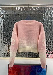 2024 Women Designers Sweaters Clothing Knit Crow Neck sweater Letter Long Sleeve C G Pullover Oversized 521