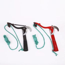 Telescopic Highbranch Scissors Fruit Picker Highaltitude Pruning Trimming Branches Garden Tool 231228