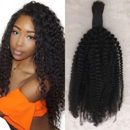 Bulks Indian Kinky Curly Bulk Hair Extensions Natural Black Colour Human Hair No Weft for Braiding FDshine