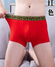 NEW Men Underpants Physiological Underwear Magnetic Health Men s Boxer Shorts Tourmaline Prostate Magnetic Therapy Penis Enlargeme5926482