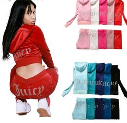 2024 Juicy Velvet Outfit Women Tracksuit Long 2 Piece Sets Velour Track Suit Hoodies And Pants Met Breathable Design Coutoure 125