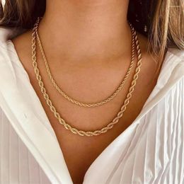 Chains 6mm/8mm Width Punk 18K Gold Colour Rope Chain Necklace Men Women Rock Hiphop Stainless Steel Twisted Jewellery