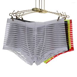 Underpants Men Fashion Transparent Boxer Shorts Checked See Through Male Sexy Panties Striped Briefs Underwear Trunk Pant