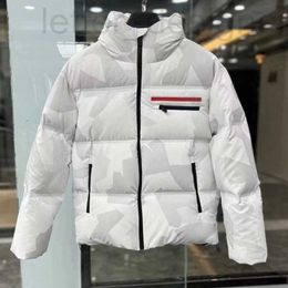 Men's Down & Parkas designer luxury Men Puffer P Jacket Re-nylon Hooded Designer Warm Winter Coat Rib Sleeve Mens Womens Suitable Clothing Brand DQUS