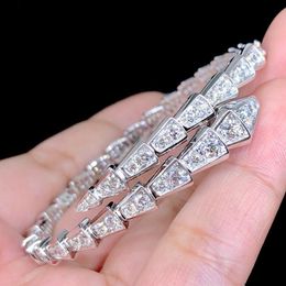 Diamond Passed Test Women Fashion Bracelets Jewellery Allergic Free S925 Sterling Silver Full VVS1 Moissanite Bracelet Bangles for Girls Women Nice Gift