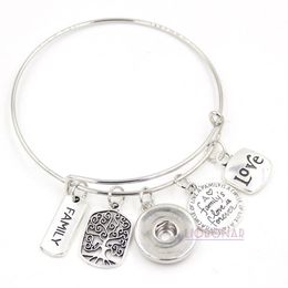 Whole Snap Jewelry Adjustable Expandable Wire Bangle Memorial Family Tree Charm Bracelets Snap Button Bracelets for Family Gif265g