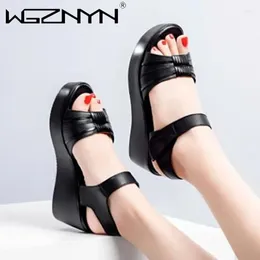 Comfortable Size 35-40 Casual Sandals Plus Beach Mother Daily Medium Heels Shoes Women Summer 2024 Chunky Platform W 81