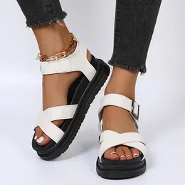 Sandals 2023 Summer Europe Gladiator For Women Fashion Platform Buckle Strap Casual Plus Size 43 Shoes