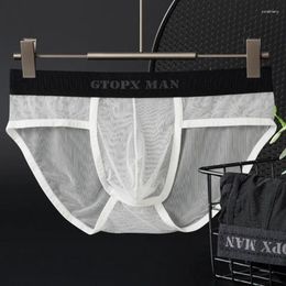 Underpants Men Panties Sexy Ice Silk Full Mesh Briefs Transparent U Convex Pouch Low Waist Underwear Ultra-Thin Breathable Male