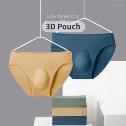 Underpants Men Sexy 3D Big Pounch Briefs Breathable Translucent Modal Underwear 4XL Elastic Functional Bottoms Comfortable Wear