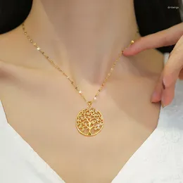 Pendant Necklaces Luxury Gold-plated Tree Of Life Zircon Necklace For Women Stainless Steel Charm Party Jewellery Gift