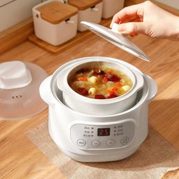 200W Electric Slow Cooker Food Steamer Stew Cup Multicooker Ceramic Pot Cubilose Pregnant Tonic Baby Supplement Warmer 231229