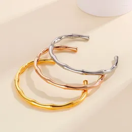 Bangle Punk Gold Plate Bamboo Bracelet For Women Girls Hiphop Rose Stainless Steel Open Cuff Bracelets Jewellery