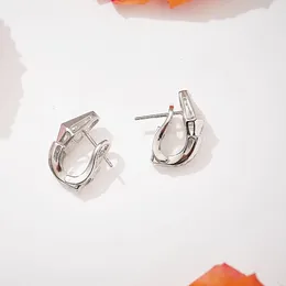 Stud Earrings Classic High-grade Jewelry. Exquisite Silver 925 Single-row Zircon Snake-shaped Women's Earrings. Trend Accessories