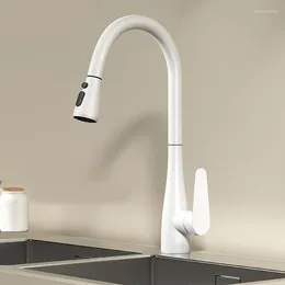 Mutfak muslukları çekilebilir musluk balkon lavabosu sebze bulaşık tabanlığı soğuk ve su sıçraması geçirmez basınçlandırma