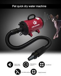Supplies 2022 New Brand Pet Dryer Dog Cat Grooming Dryer Cheap Pet Hair Dryer Blower 220v/110v 2400w Eu Plug Adaptor Pink Blue Color