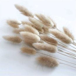 Dried Flowers Natural Bunny Grass for Decor Lagurus Bouquet Rabbit Indoor Coffee Table Decoration