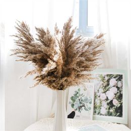 Dried Flowers Cream Grass Decor Fluffy Wedding Flower Bunch Natural Plants for Home Valentines Day Gift