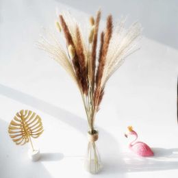 Dried Flowers 15Pcs Natural Reeds Bunch Small Grass DIY Wedding Supplies Bouquet Photography Props Christmas Home Decoration