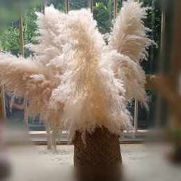 Dried Flowers 80cm Large Fluffy Natural Grass Bouquet For Wedding Party Wholesale
