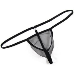 G3679 mens sexy Mini pouch thong see through C-thru tulle sexy male underwear2570