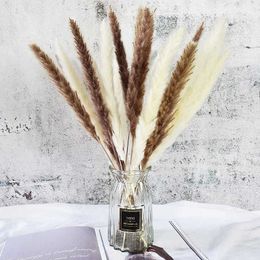 Dried Flowers Total 15 White Brown and Natural Reed/Pampas Grass For Flower Arrangements Home Deco