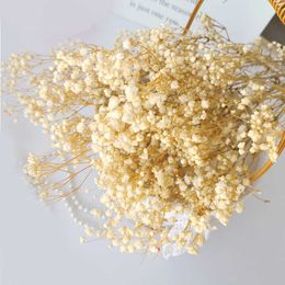 Dried Flowers Natural Fresh Preserved Babysbreath Real Dry Flower Wedding Marriage Decoration Home Party Accessories