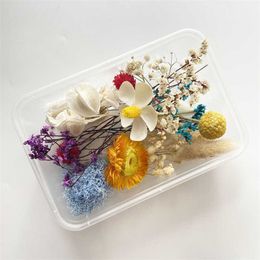 Dried Flowers Box Real Flower Dry Plants For Aromatherapy Candle Epoxy Resin Pendant Necklace Jewelry Making Craft DIY Accessories