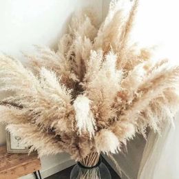 Dried Flowers Grass Large Beige Fluffy Natural Flower Bouquet Living Room Decoration Wedding Floral Decorations