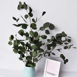 Dried Flowers Natural Eucalyptus Leaves Branche Flower Real Plant Ornament DIY Wedding Photo Prop Home Decoration Fleurs Sechees