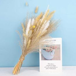 Dried Flowers set White Colour Fluffy Grass Decor Natural Dry Bleached Bouquet Vintage Style for Wedding Home