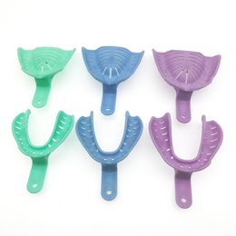 Magnifying Glasses 6Pcs Colourful Dental Impression Trays Plastic Materials Teeth Holder Lab Tray 230701