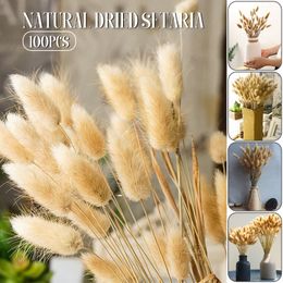 Dried Flowers 100 Pcs Natural Bunny Tail Grass Boho Fluffy Pampas Small Reeds Bouquet Indoor Living Room Decor 230701