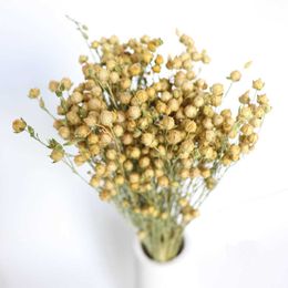 Dried Flowers Bunch Plantas Beans Wedding Decoration Background Material DIY Gift Box Home Living Room Ornament