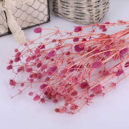 Dried Flowers Natural Preserved Lover Fruits Bouquet Colourful Eternal Dry Flower Wedding Arrangement Party Home Table Decoration Accessories