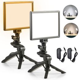 Wholesale 2pcs Photography LED Video Light Lamp with Bi-Color HD LCD Display Screen CRI95+for DSLR Table Photo Studio with Tripods