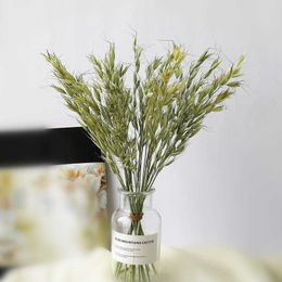 Dried Flowers Natural Oats Rabbit Dog Reed Grass Golden Wheat Ear Decorative Wall Home Table Or Study Refreshing